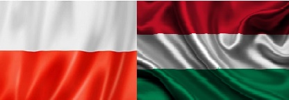 Fiorino e zloty si deprezzano